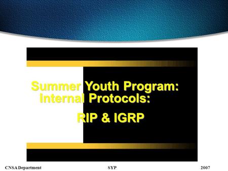 SYPCNSA Department2007 Summer Youth Program: Internal Protocols: RIP & IGRP.