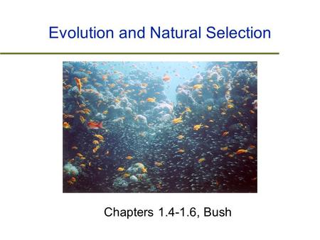 Evolution and Natural Selection Chapters 1.4-1.6, Bush.