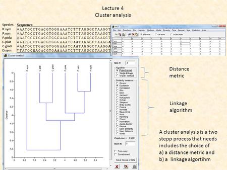 Lecture 4 Cluster analysis Species Sequence P.symA AATGCCTGACGTGGGAAATCTTTAGGGCTAAGGTTTTTATTTCGTATGCTATGTAGCTTAAGGGTACTGACGGTAG P.xanA AATGCCTGACGTGGGAAATCTTTAGGGCTAAGGTTAATATTCCGTATGCTATGTAGCTTAAGGGTACTGACGGTAG.