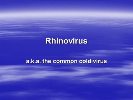 Rhinovirus a.k.a. the common cold virus. The Stats one of the most common illnesses to man leading cause of doctor visits and lost hours both at school.