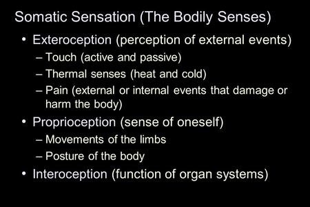 Somatic Sensation (The Bodily Senses)