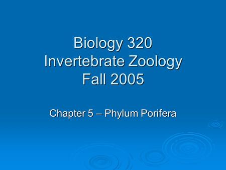 Biology 320 Invertebrate Zoology Fall 2005