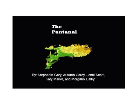 The Pantanal By: Stephanie Gary, Autumn Carey, Jenni Scotti, Katy Marlor, and Morgann Dalby.