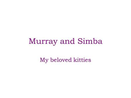 Murray and Simba My beloved kitties. Meet Murray Murray was a stray who ran inside my apartment with me one night and decided to stay. That was in October.