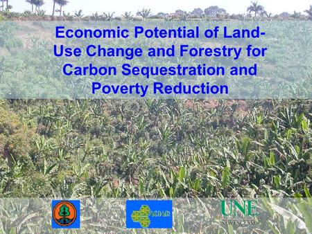 Economic Potential of Land- Use Change and Forestry for Carbon Sequestration and Poverty Reduction.