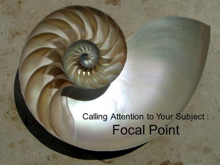 Calling Attention to Your Subject : Focal Point. Using a Focal Point What takes center stage? A focal point is an emphasis An emphasis relates to the.