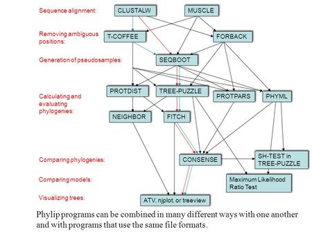 Sequence alignment: Removing ambiguous positions: Generation of pseudosamples: Calculating and evaluating phylogenies: Comparing phylogenies: Comparing.