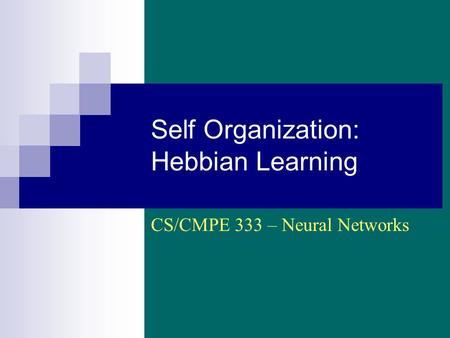 Self Organization: Hebbian Learning CS/CMPE 333 – Neural Networks.