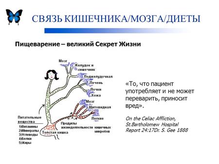 СВЯЗЬ КИШЕЧНИКА/МОЗГА/ДИЕТЫ «То, что пациент употребляет и не может переварить, приносит вред». On the Celiac Affliction, St.Bartholomew Hospital Report.