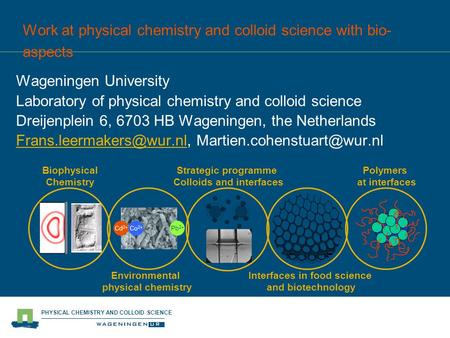 PHYSICAL CHEMISTRY AND COLLOID SCIENCE Co 2+ Pb 2+ Cd 2+ Interfaces in food science and biotechnology Polymers at interfaces Strategic programme Colloids.