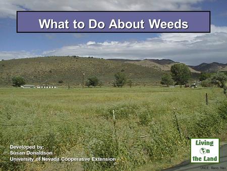 What to Do About Weeds Developed by: Susan Donaldson University of Nevada Cooperative Extension UNCE, Reno, Nev.