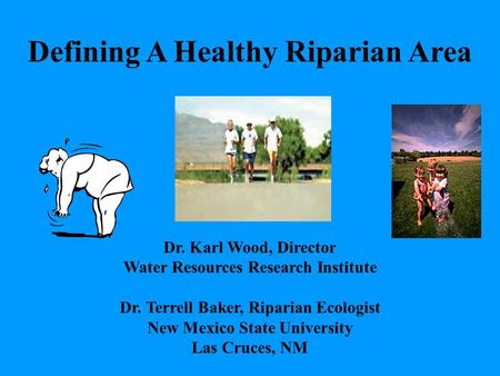 Defining A Healthy Riparian Area Dr. Karl Wood, Director Water Resources Research Institute Dr. Terrell Baker, Riparian Ecologist New Mexico State University.