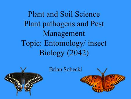 Plant and Soil Science Plant pathogens and Pest Management Topic: Entomology/ insect Biology (2042) Brian Sobecki.