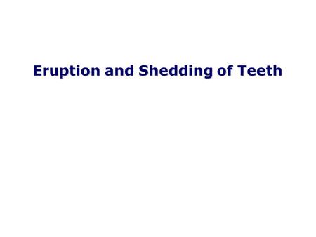 Eruption and Shedding of Teeth