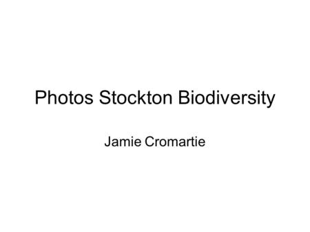 Photos Stockton Biodiversity Jamie Cromartie. Upland forest, heath understory.