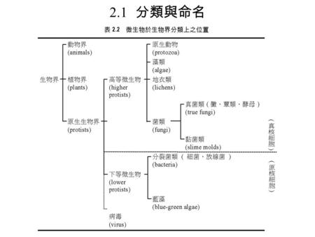 2.1 	分類與命名.