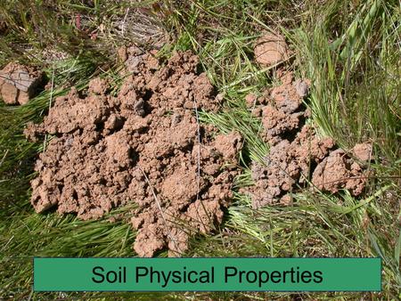 Soil Physical Properties