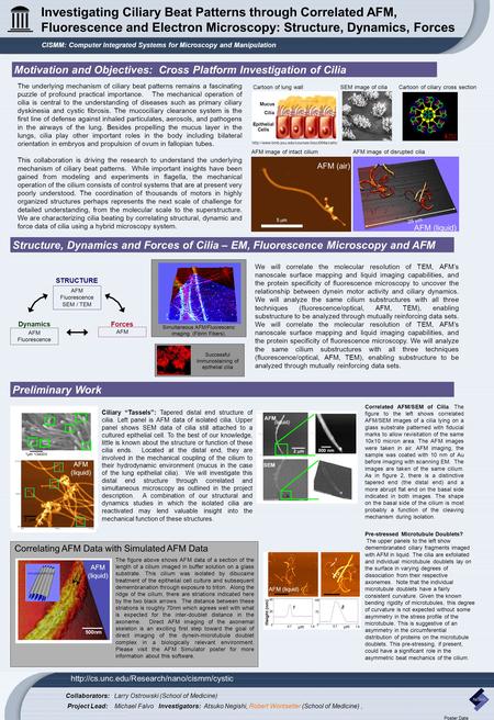 Investigating Ciliary Beat Patterns through Correlated AFM, Fluorescence and Electron Microscopy: Structure, Dynamics, Forces CISMM: Computer Integrated.