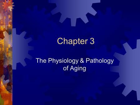 The Physiology & Pathology of Aging