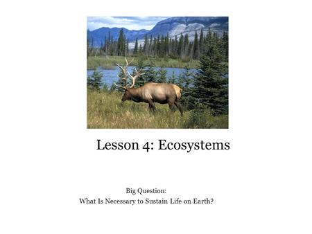 Lesson 4: Ecosystems Big Question: What Is Necessary to Sustain Life on Earth?