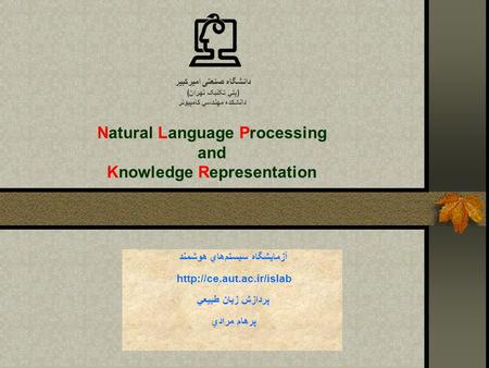 Natural Language Processing and Knowledge Representation دانشگاه صنعتی اميرکبير (پلي تکنيک تهران) دانشكده مهندسي كامپيوتر آزمايشگاه سيستم‌هاي هوشمند