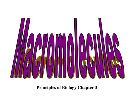 Principles of Biology Chapter 3