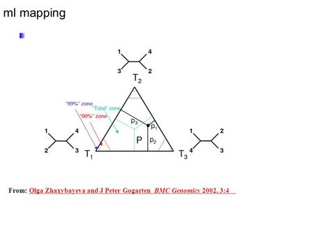 Ml mapping From: Olga Zhaxybayeva and J Peter Gogarten BMC Genomics 2002, 3:4 Olga Zhaxybayeva and J Peter Gogarten BMC Genomics 2002, 3:4.