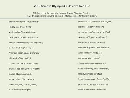 Yellow-poplar (Liriodendron tulipifera) sassafras (Sassafras albidum) sweetgum (Liquidambar styraciflua) sycamore (Platanus occidentalis) black Cherry.