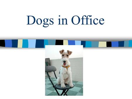 Dogs in Office Why Let The Dogs In? Dogs send stress levels plummeting Dogs in office bring better productivity and encourage teamwork.