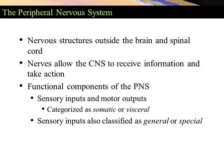 The Peripheral Nervous System