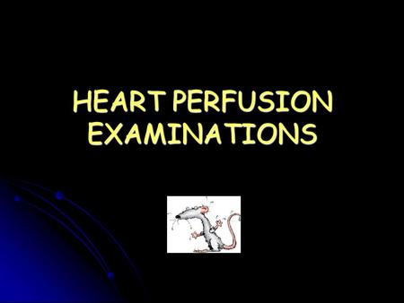 HEART PERFUSION EXAMINATIONS. ADVANTAGES OF IN VITRO HEART PERFUSION STUDIES Can be studied quickly and in large number Can be studied quickly and in.