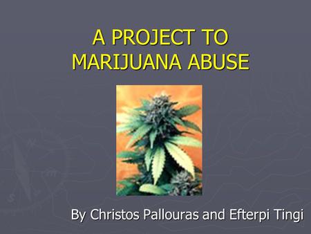 A PROJECT TO MARIJUANA ABUSE By Christos Pallouras and Efterpi Tingi.