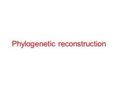 Phylogenetic reconstruction