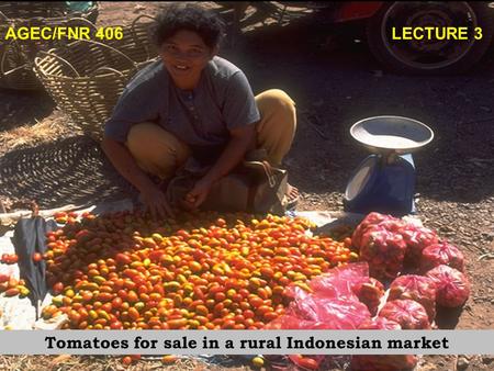 AGEC/FNR 406 LECTURE 3 Tomatoes for sale in a rural Indonesian market.