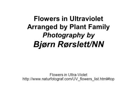 Flowers in Ultraviolet Arranged by Plant Family Photography by Bjørn Rørslett/NN Flowers in Ultra-Violet