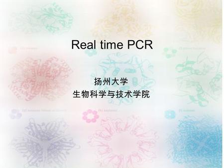 Real time PCR 扬州大学 生物科学与技术学院. 原理 聚合酶链式反应 ( PCR) 可对特定核苷酸片断进行指数级的扩增 。 在扩增反应结束之后，我们可以通过凝胶电泳的方法对扩增产物进行 定性的分析，也可以通过 放射性核素掺入标记后的光密度扫描来进行 定量的分析 。无论定性还是定量分析，分析的都是.