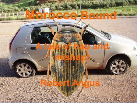 Morocco Bound A tale of hap and mishap! Robert Angus.