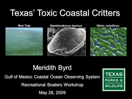 Texas’ Toxic Coastal Critters Meridith Byrd Gulf of Mexico Coastal Ocean Observing System Recreational Boaters Workshop May 28, 2009 Red TideGambierdiscus.