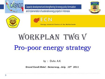 WORKPLAN TWG V Pro-poor energy strategy by : Duha A.K Grand Candi Hotel - Semarang, July 10 th 2011.