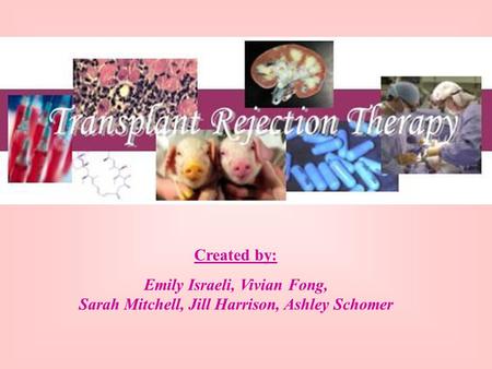 Created by: Emily Israeli, Vivian Fong, Sarah Mitchell, Jill Harrison, Ashley Schomer.