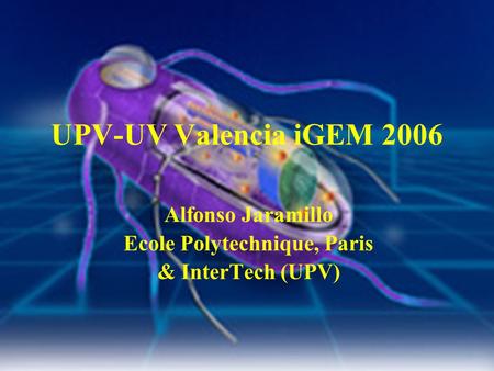 UPV-UV Valencia iGEM 2006 Alfonso Jaramillo Ecole Polytechnique, Paris & InterTech (UPV)