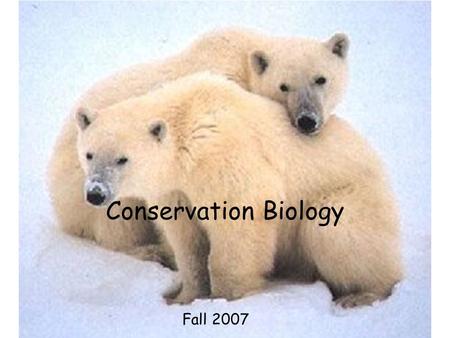 Conservation Biology Fall 2007. What is Conservation Biology?  Applied, interdisciplinary science developed in response to rapid modern loss of species.