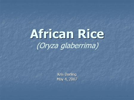 African Rice African Rice (Oryza glaberrima) Kris Darling May 4, 2007.