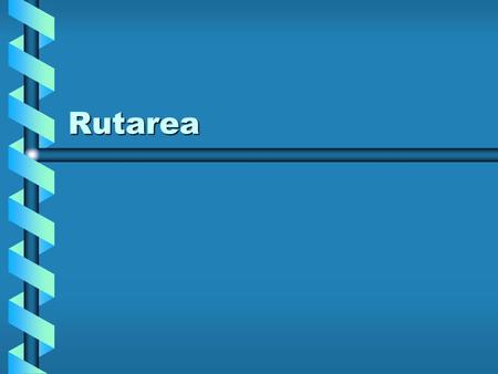 Rutarea. Obiective Bazele rutăriiBazele rutării Necesitatea protocoalelor de rutareNecesitatea protocoalelor de rutare Rutarea bazată pe Distance-VectorRutarea.