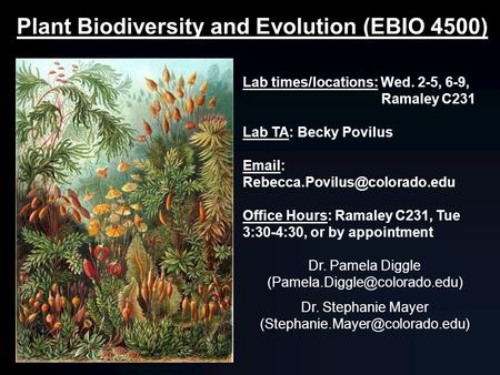 Plant Biodiversity and Evolution (EBIO 4500) Lab times/locations: Wed. 2-5, 6-9, Ramaley C231 Lab TA: Becky Povilus