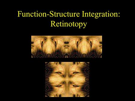 Function-Structure Integration: Retinotopy. What does your brain do to Mona?