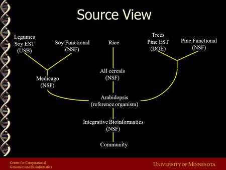 Center for Computational Genomics and Bioinformatics U NIVERSITY OF M INNESOTA Source View Community Integrative Bioinformatics (NSF) Arabidopsis (reference.