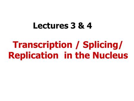 Lectures 3 & 4 Transcription / Splicing/ Replication in the Nucleus.