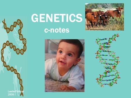 Leslie Follmar 2008 GENETICS c-notes. Leslie Follmar 2008 TRAITS Physical characteristics that an organism can pass off to offspring Examples: eye color.