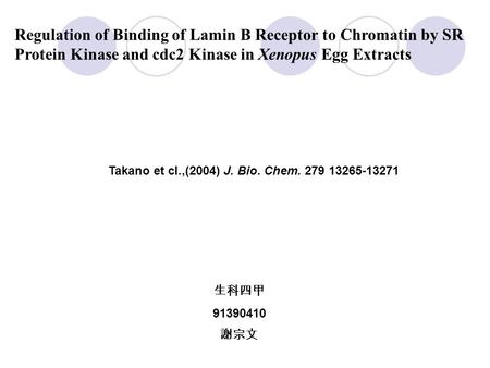 Regulation of Binding of Lamin B Receptor to Chromatin by SR Protein Kinase and cdc2 Kinase in Xenopus Egg Extracts 生科四甲 91390410 謝宗文 Takano et cl.,(2004)